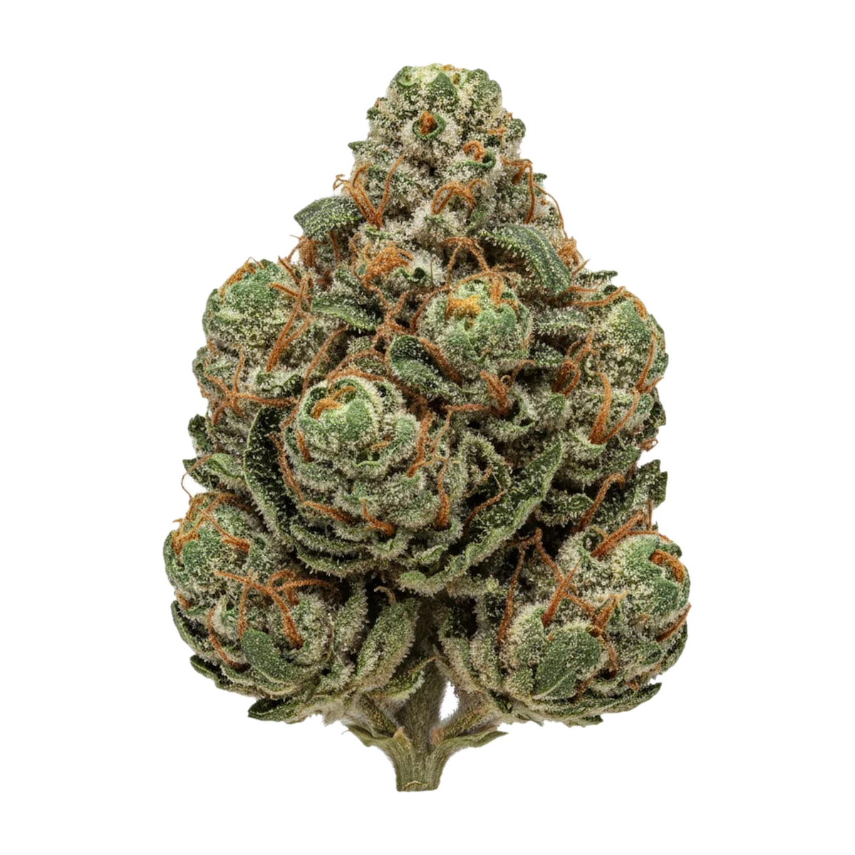 KI-generierte Illustration einer Cannabisblüte, zeigt nicht die tatsächliche Charge – Bathera 28/1 FA "Facetz"