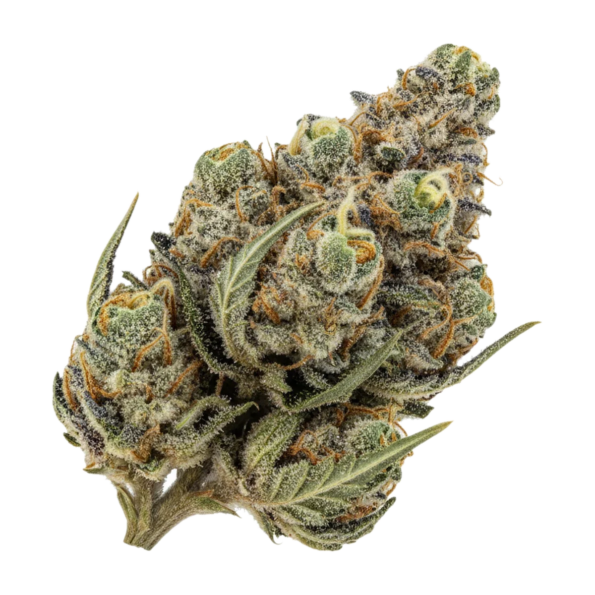 KI-generierte Illustration einer Cannabisblüte, zeigt nicht die tatsächliche Charge – Bedrocan "Afina"