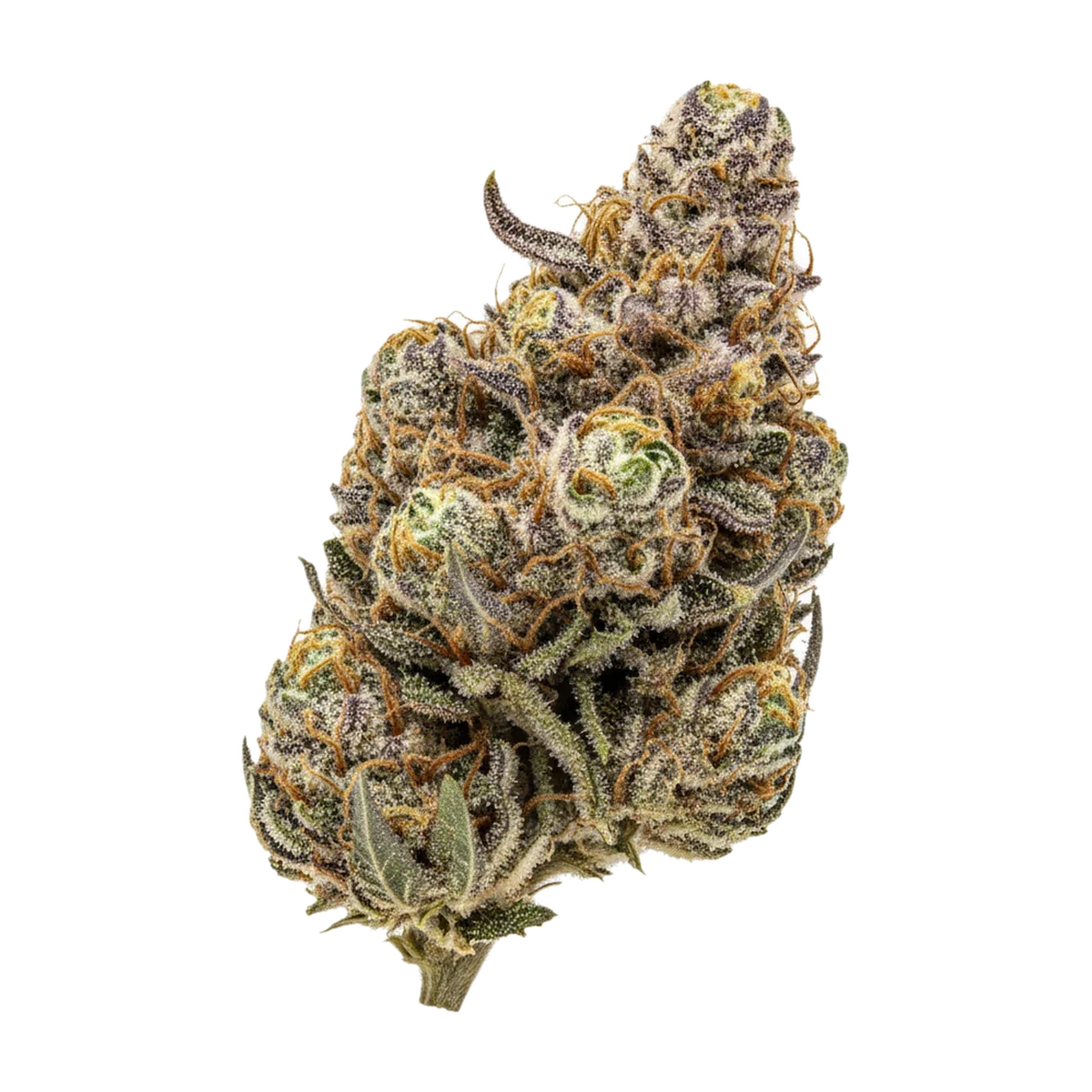 KI-generierte Illustration einer Cannabisblüte, zeigt nicht die tatsächliche Charge – Cannamedical CM BRY "Strawberry OG"