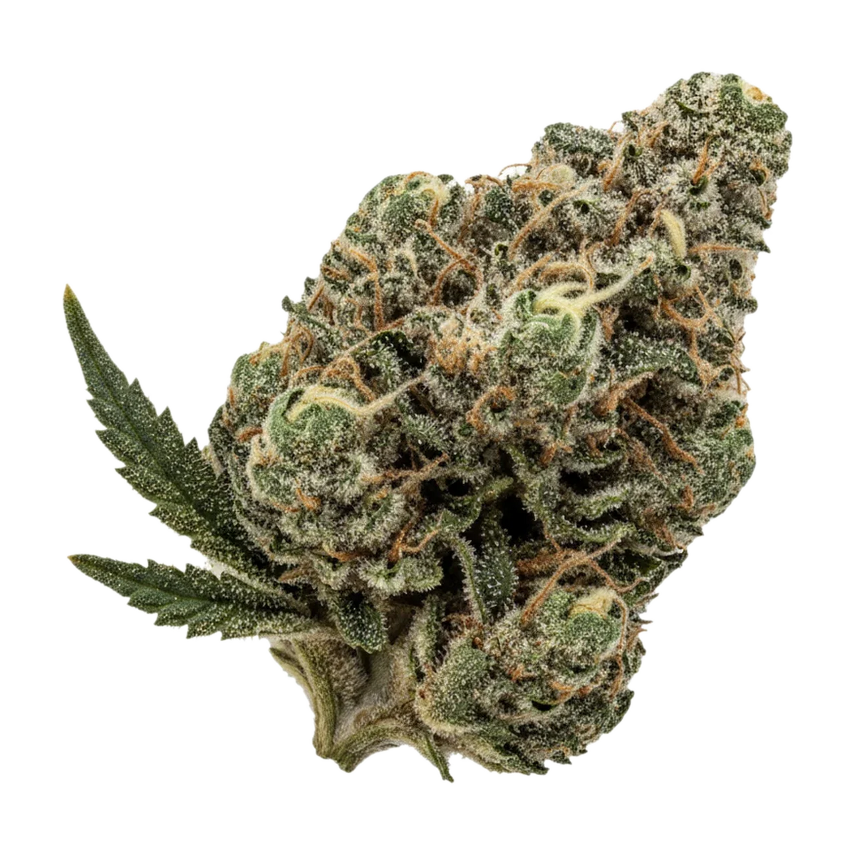 KI-generierte Illustration einer Cannabisblüte, zeigt nicht die tatsächliche Charge – Cannamedical CM 31/1 SPC "Space Cake"
