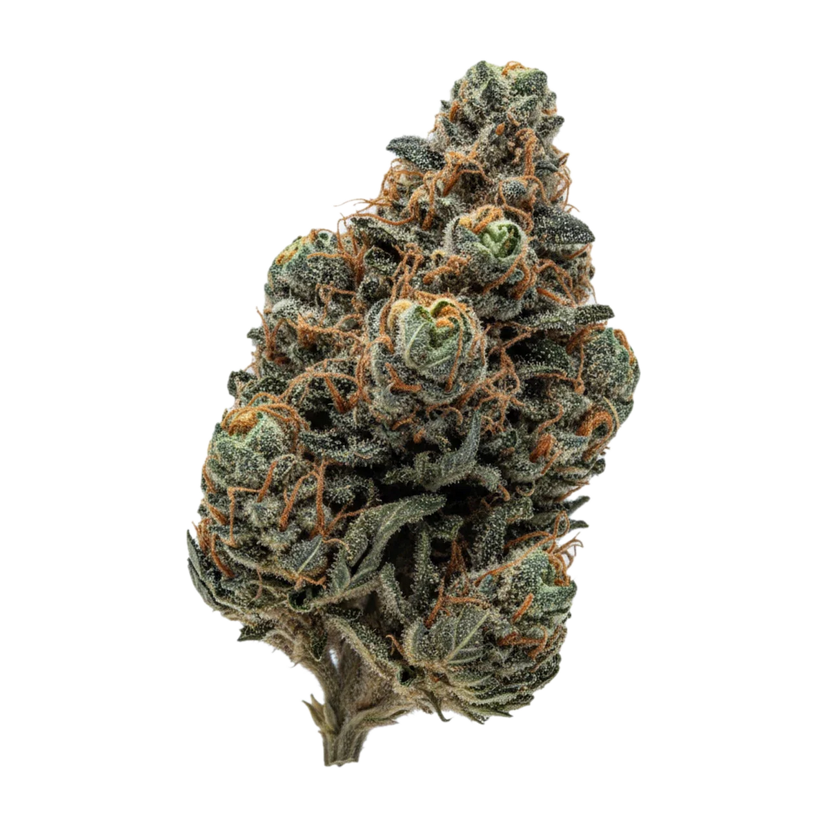 KI-generierte Illustration einer Cannabisblüte, zeigt nicht die tatsächliche Charge – Cannamedical Hybrid Classic BC 20/1 "MAC 3"
