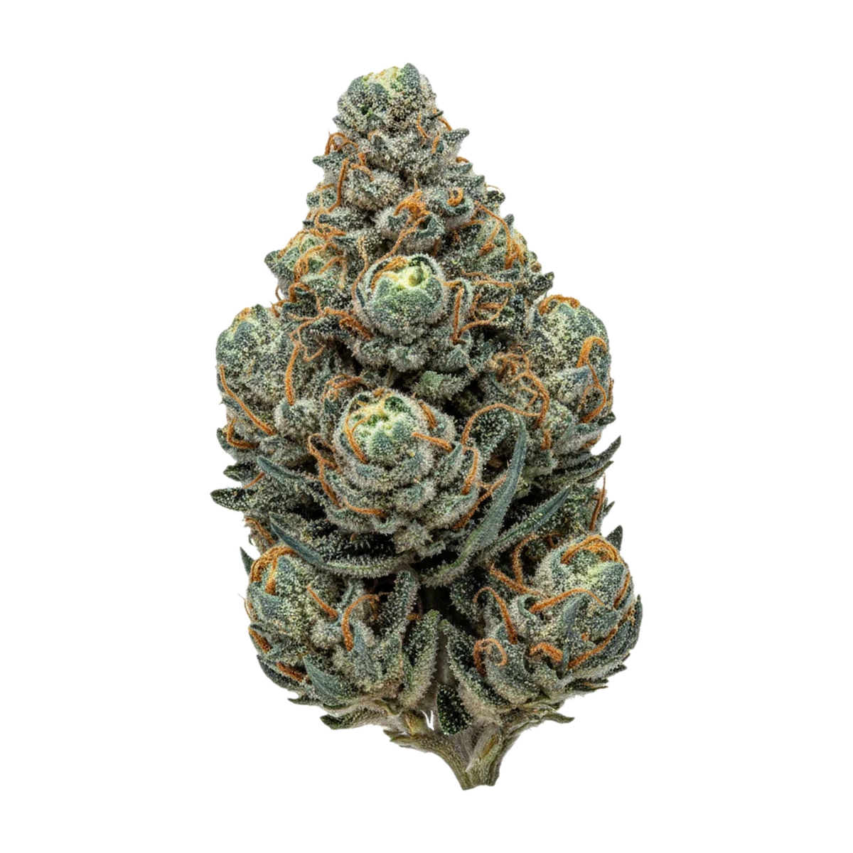 KI-generierte Illustration einer Cannabisblüte, zeigt nicht die tatsächliche Charge – Cannamedical Hybrid Forte KA 22/1 "Gelato Lemon"
