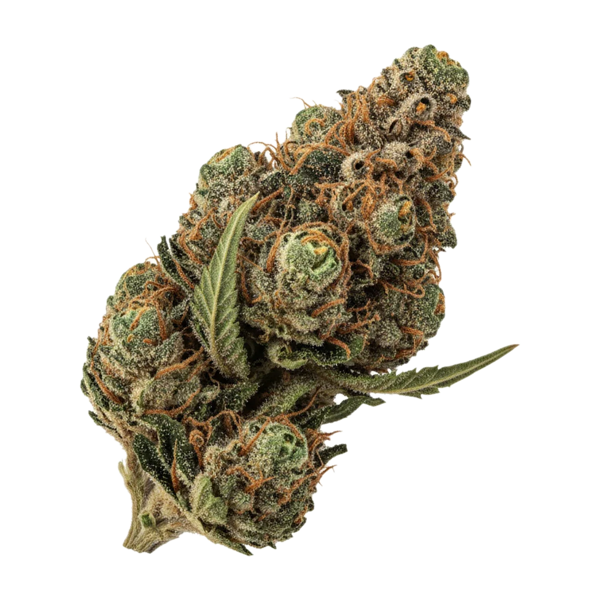 KI-generierte Illustration einer Cannabisblüte, zeigt nicht die tatsächliche Charge – Cannamedical Hybrid Forte SA 22/1 "Blunicorn"