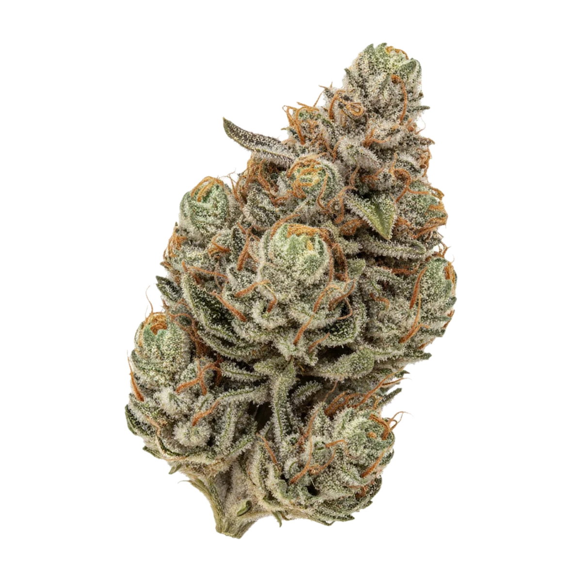 KI-generierte Illustration einer Cannabisblüte, zeigt nicht die tatsächliche Charge – Cannamedical Hybrid ultimate SF 33/1 "Afghan Bubba Kush"