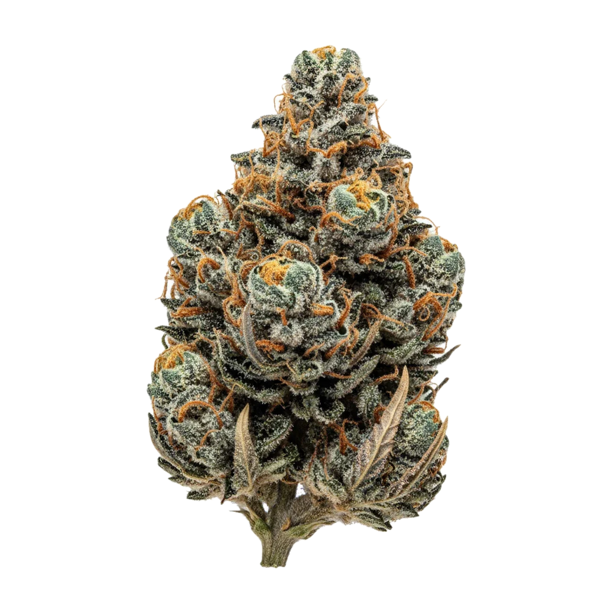 KI-generierte Illustration einer Cannabisblüte, zeigt nicht die tatsächliche Charge – Cannamedical Hybrid "Lemon Cookie"