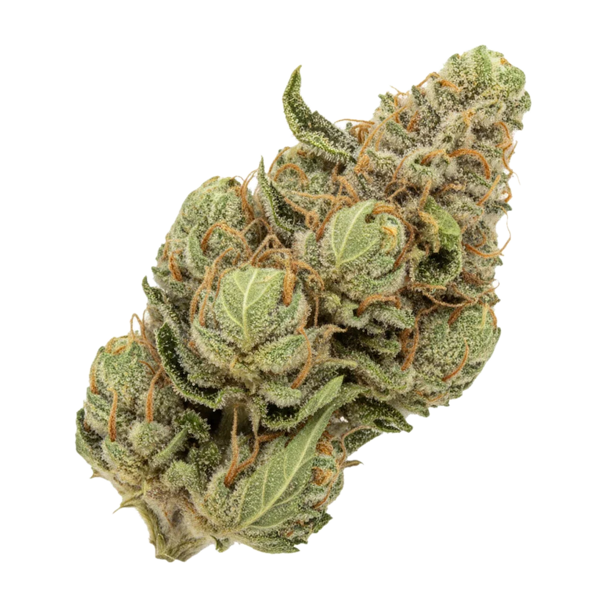 KI-generierte Illustration einer Cannabisblüte, zeigt nicht die tatsächliche Charge – Cannamedical Indica Classic ZAF 21/1 "Black Cherry Punch"