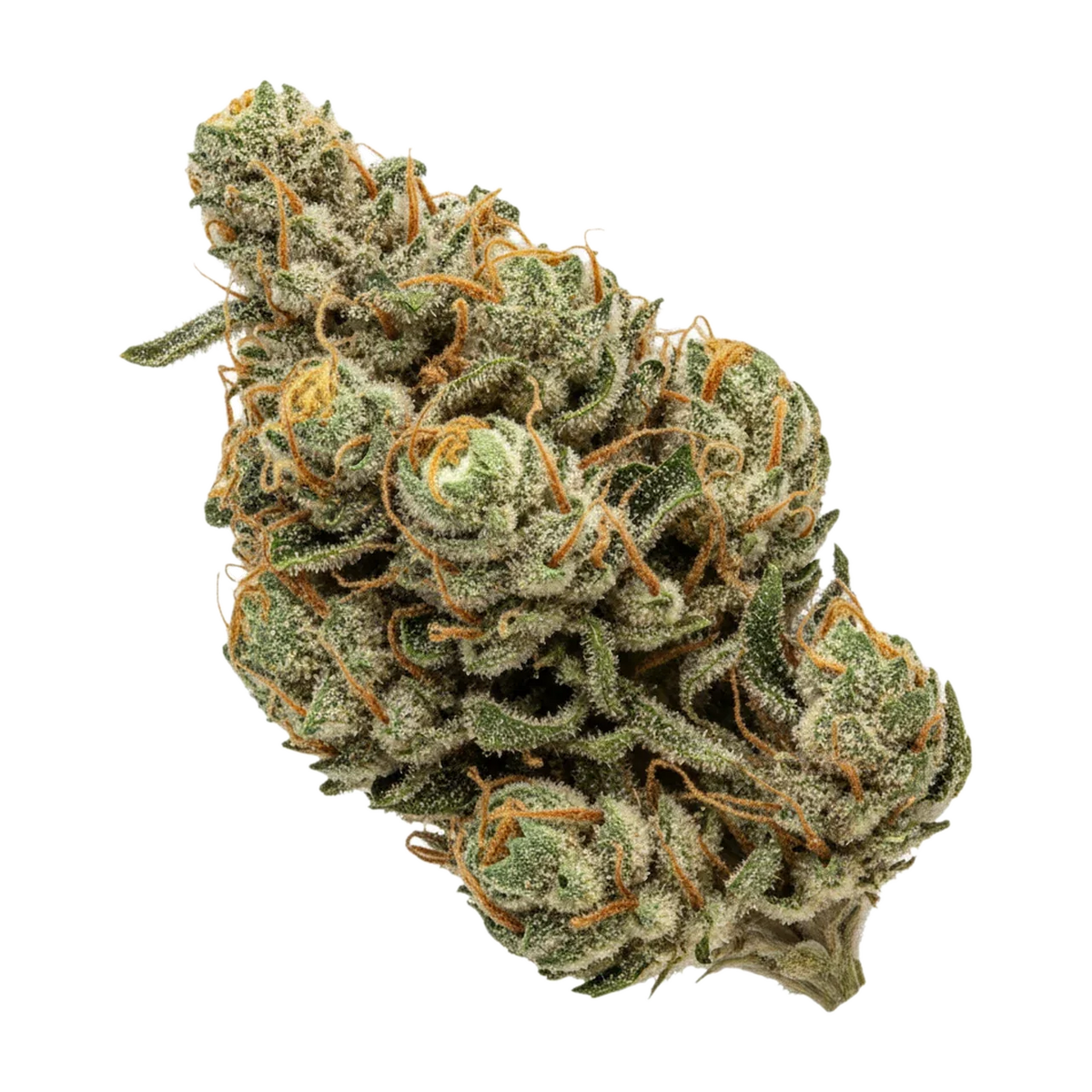 KI-generierte Illustration einer Cannabisblüte, zeigt nicht die tatsächliche Charge – Cannamedical Indica Forte 25/1 BCC "Banana Cream Cake"