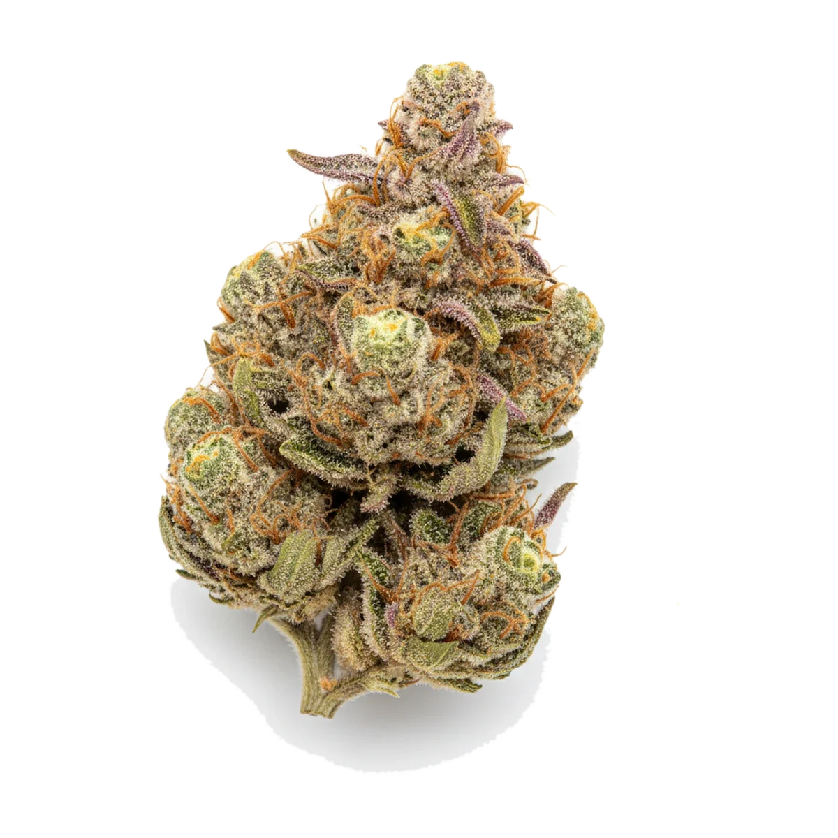 KI-generierte Illustration einer Cannabisblüte, zeigt nicht die tatsächliche Charge – Cannamedical Indica Forte BC 24/1 "Tangerine Boost"