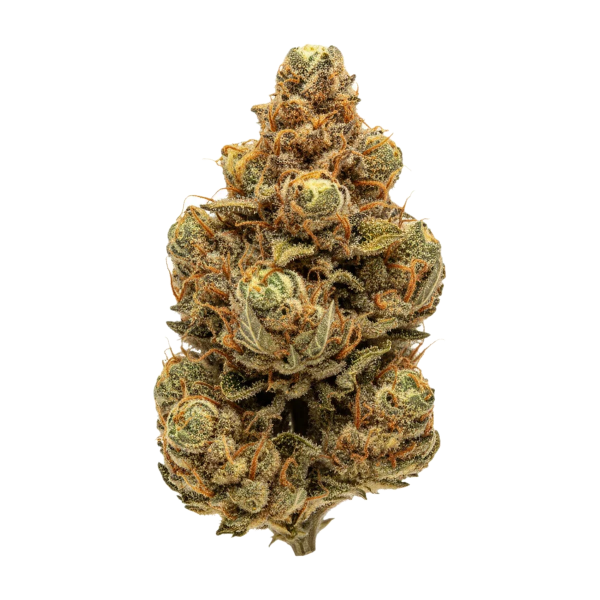 KI-generierte Illustration einer Cannabisblüte, zeigt nicht die tatsächliche Charge – Cannamedical Sativa Ultra NM 29/1 "Polar Cookies"