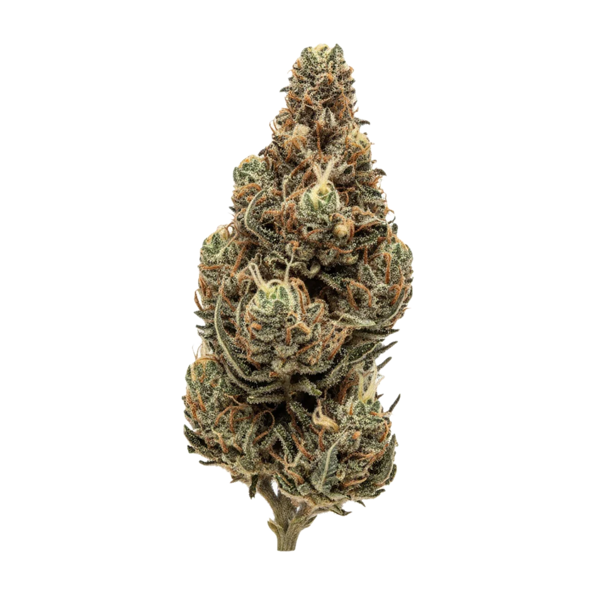 KI-generierte Illustration einer Cannabisblüte, zeigt nicht die tatsächliche Charge – Cresco RSE "Jack Black"