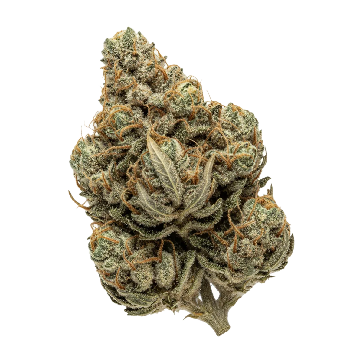 KI-generierte Illustration einer Cannabisblüte, zeigt nicht die tatsächliche Charge – Curaleaf Natural LVC "Lavender Cake"