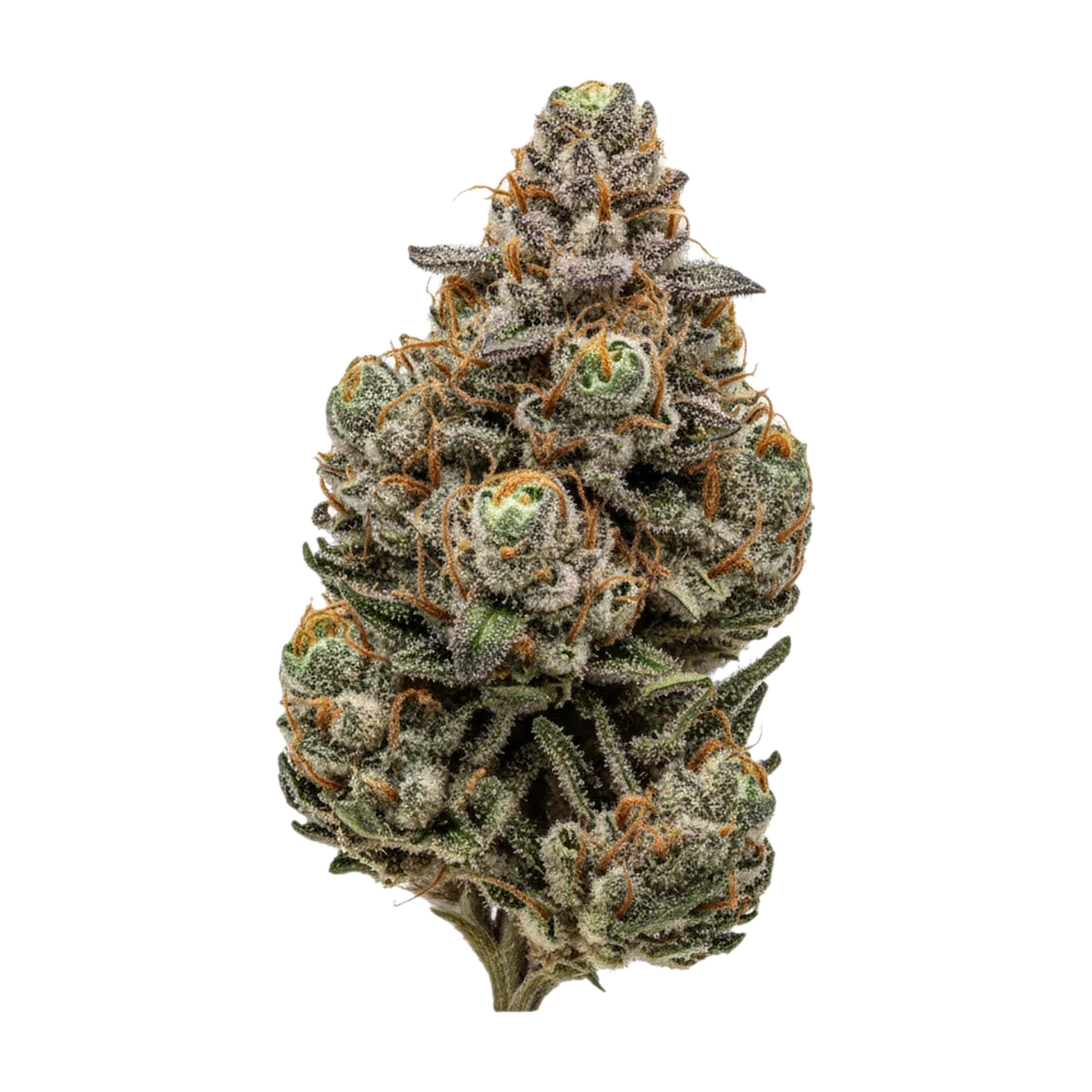 KI-generierte Illustration einer Cannabisblüte, zeigt nicht die tatsächliche Charge – DEMECAN Core Saxonia 28/1 "Wedding Cake x Jet Fuel Gelato"