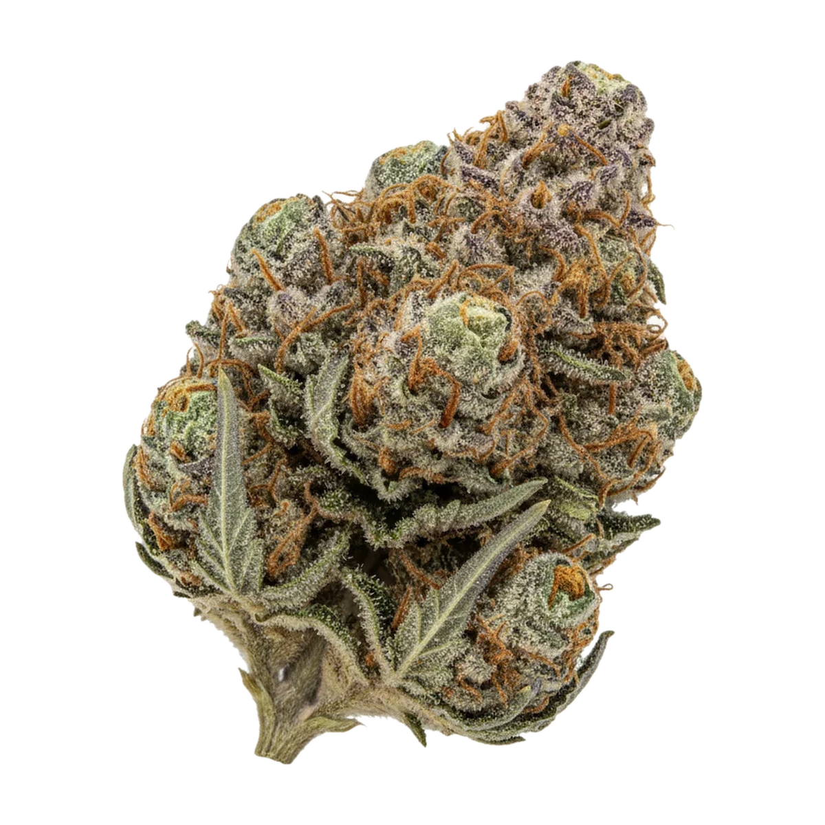 KI-generierte Illustration einer Cannabisblüte, zeigt nicht die tatsächliche Charge – DEMECAN "98 Aloha WW x Trainwreck"