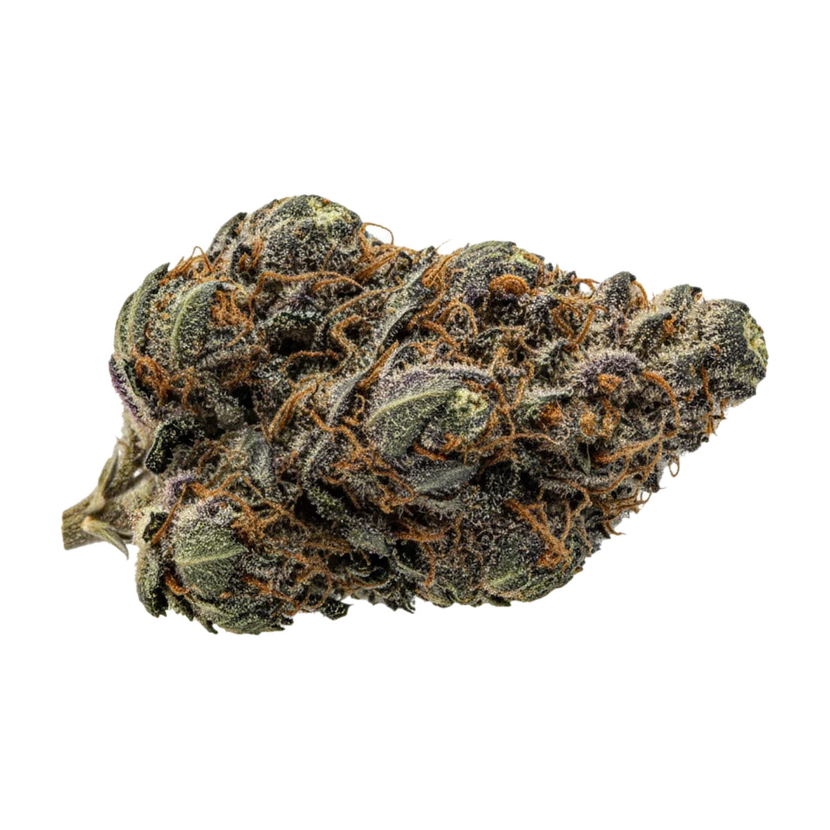 KI-generierte Illustration einer Cannabisblüte, zeigt nicht die tatsächliche Charge – DEMECAN "Gelato x OG Kush"