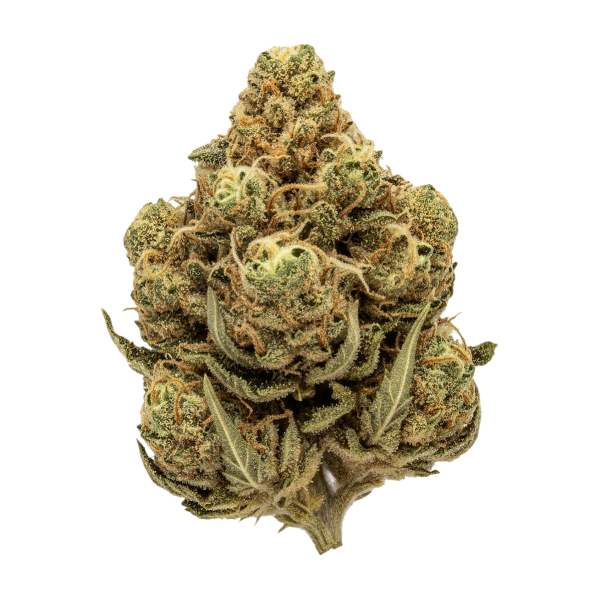 KI-generierte Illustration einer Cannabisblüte, zeigt nicht die tatsächliche Charge – DEMECAN Craft Platinum 31/1 "Platinum Mac"