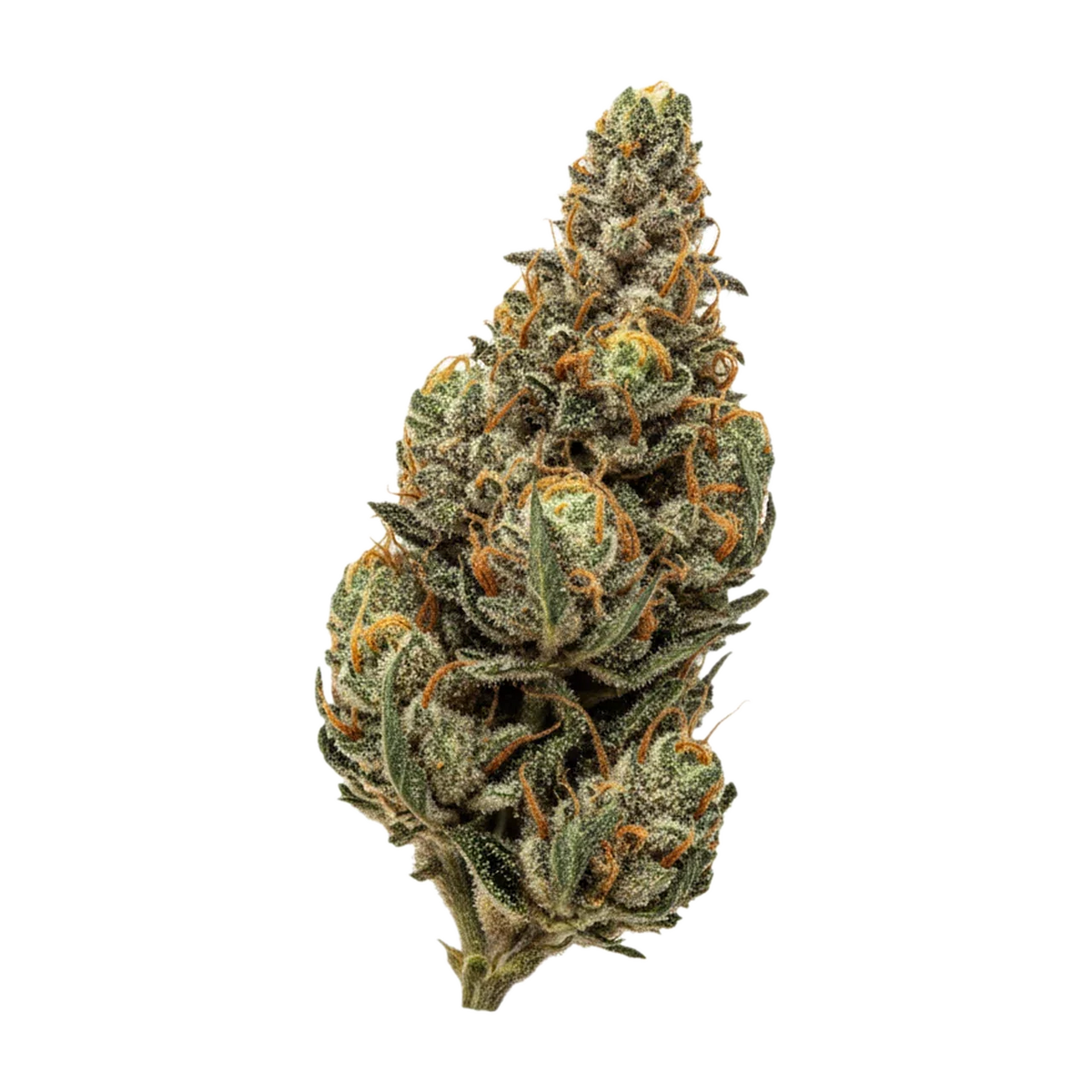 KI-generierte Illustration einer Cannabisblüte, zeigt nicht die tatsächliche Charge – DEMECAN DMC "Holy Roller"