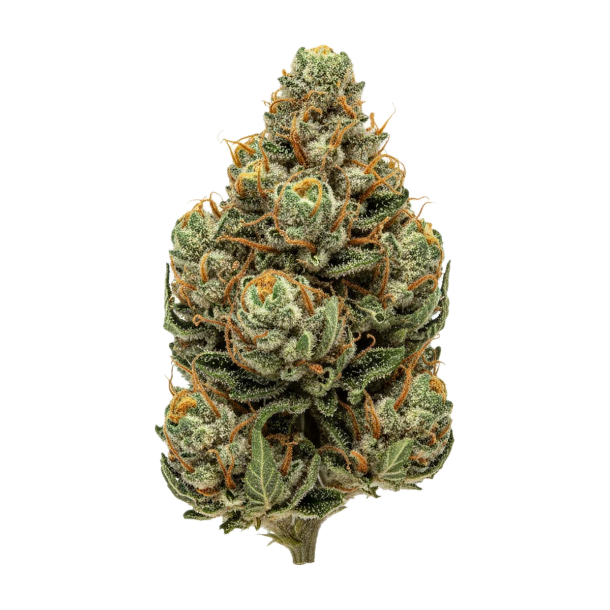 KI-generierte Illustration einer Cannabisblüte, zeigt nicht die tatsächliche Charge – DEMECAN PS Lean Drop 22/1 "Tropaya Punch"
