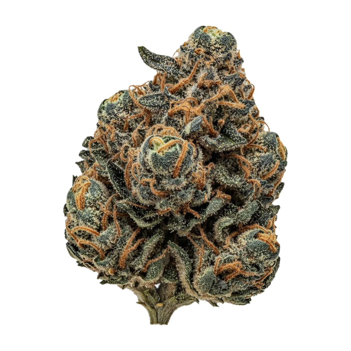 KI-generierte Illustration einer Cannabisblüte, zeigt nicht die tatsächliche Charge – Siggis HBLT 22/1 "Holunderblüte"
