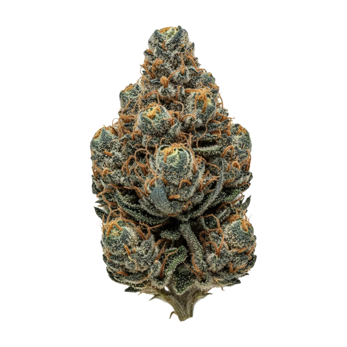 KI-generierte Illustration einer Cannabisblüte, zeigt nicht die tatsächliche Charge – enua 25/1 SLC CA "Slurricane"