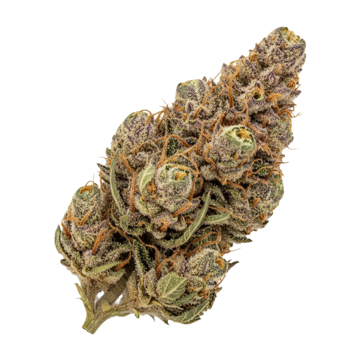 KI-generierte Illustration einer Cannabisblüte, zeigt nicht die tatsächliche Charge – enua 27/1 PCP "Pineapple Cherry Punch"