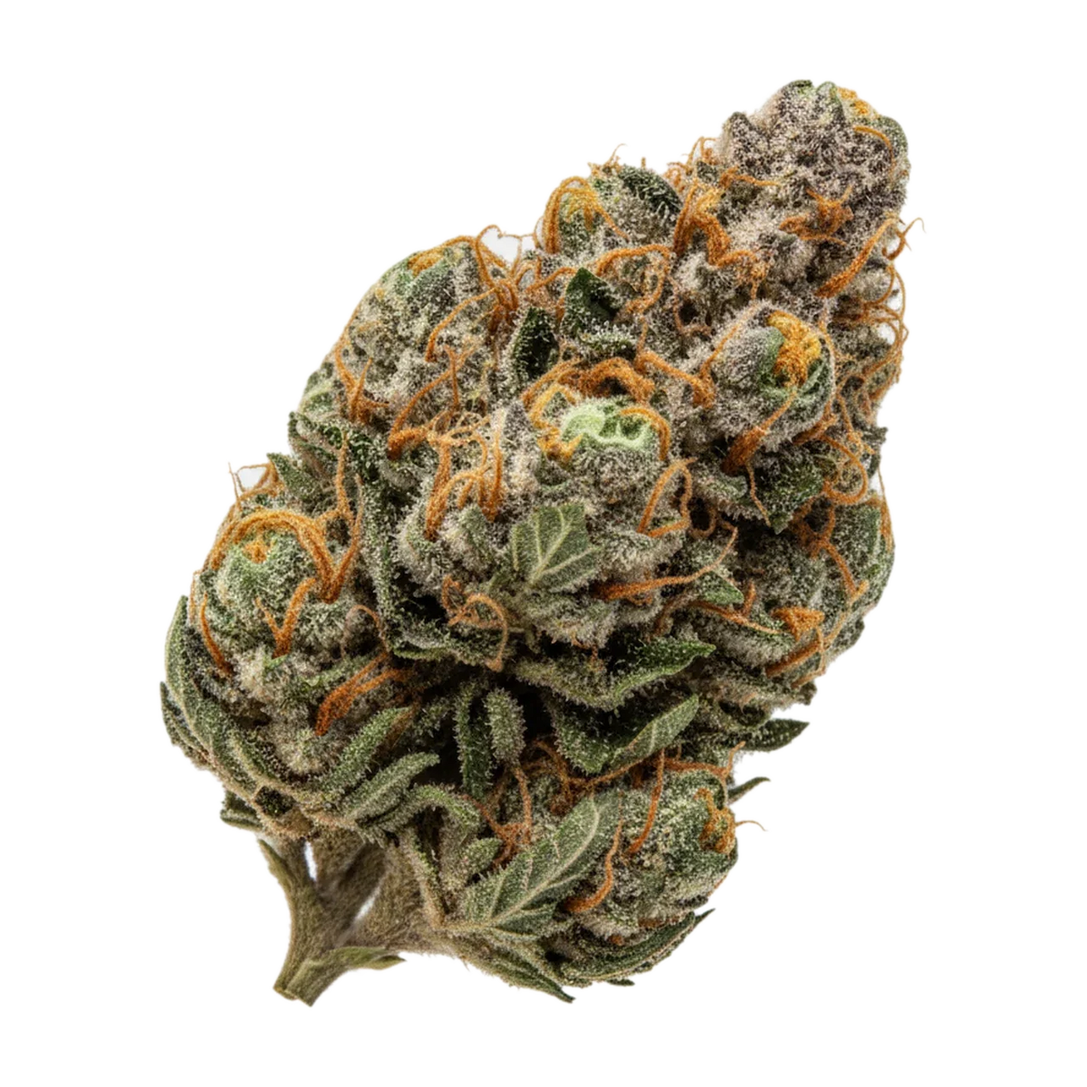 KI-generierte Illustration einer Cannabisblüte, zeigt nicht die tatsächliche Charge – enua 27/1 TCP "Tropical Cherry Punch"
