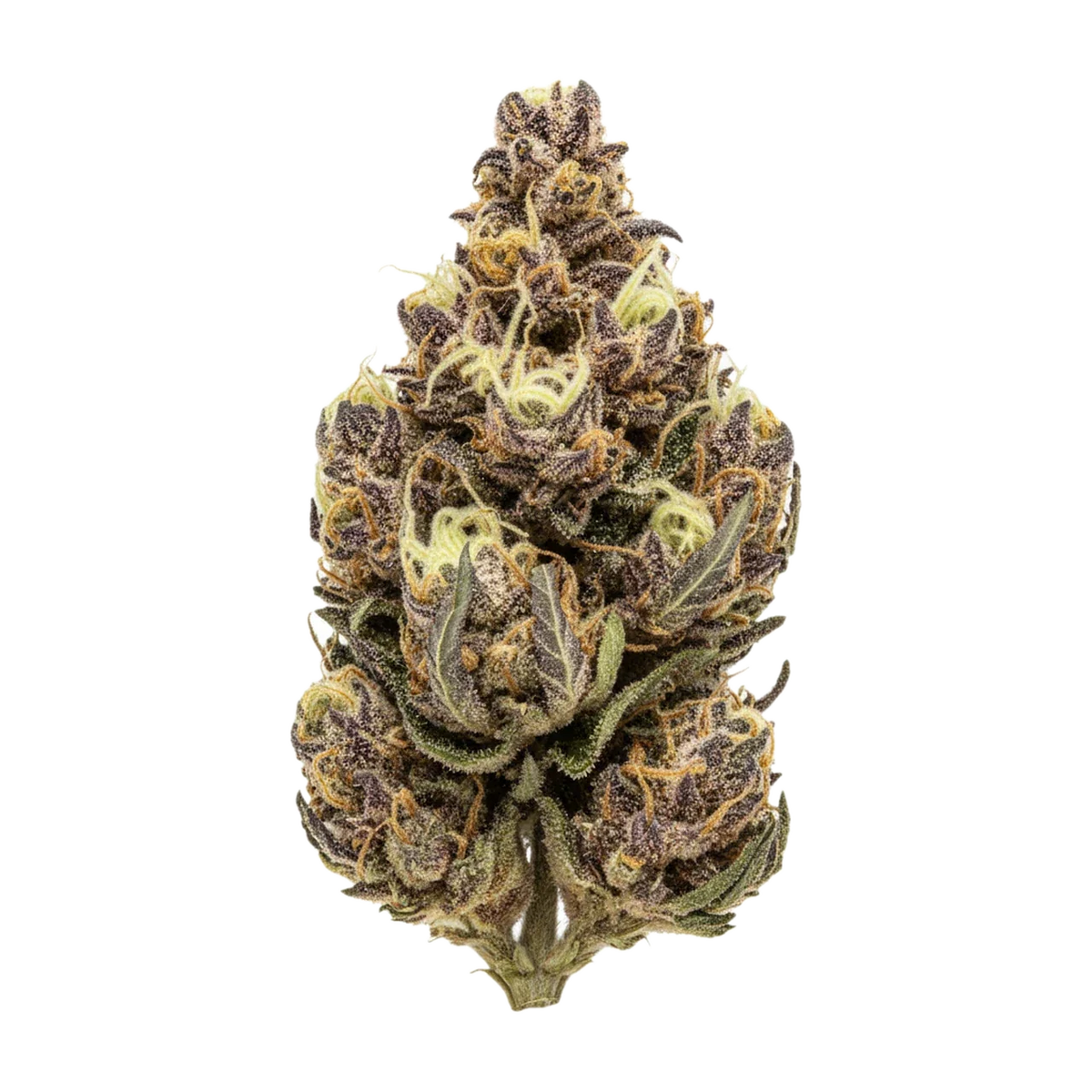 KI-generierte Illustration einer Cannabisblüte, zeigt nicht die tatsächliche Charge – enua 33/1 NLP "Northern Lime Pie"