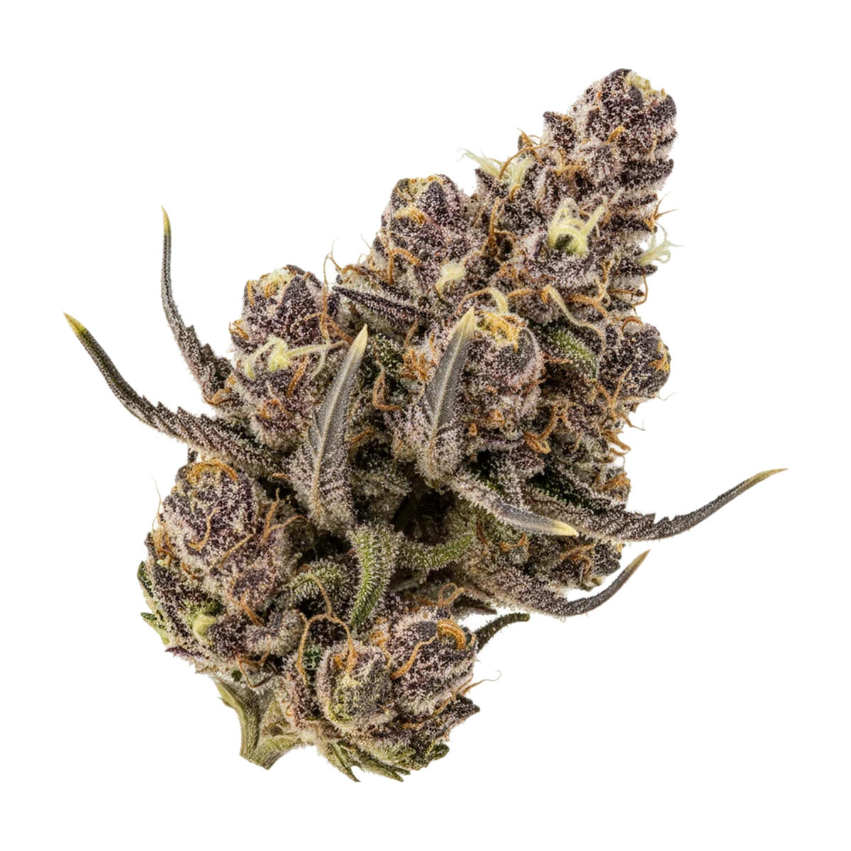 KI-generierte Illustration einer Cannabisblüte, zeigt nicht die tatsächliche Charge – frdm 30/1 MJK "Master Jack"