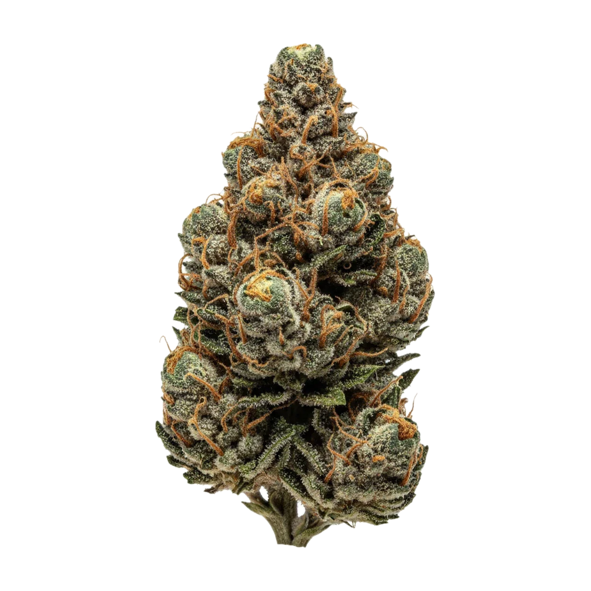KI-generierte Illustration einer Cannabisblüte, zeigt nicht die tatsächliche Charge – HiDealz 24/1 MS HWH "Honeydew Haze"