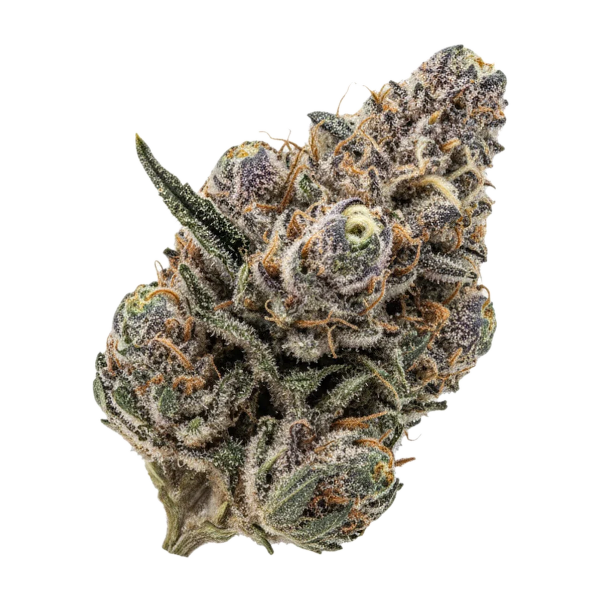 KI-generierte Illustration einer Cannabisblüte, zeigt nicht die tatsächliche Charge – Huala 25/1 KBK "Kebab Kush"