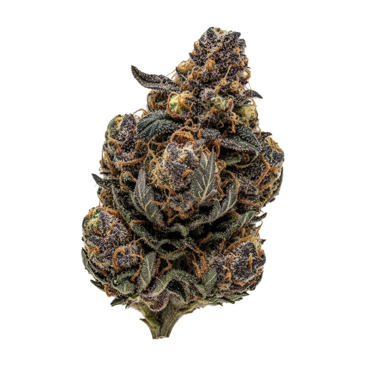 KI-generierte Illustration einer Cannabisblüte, zeigt nicht die tatsächliche Charge – Huala OCT "Purple Octane"