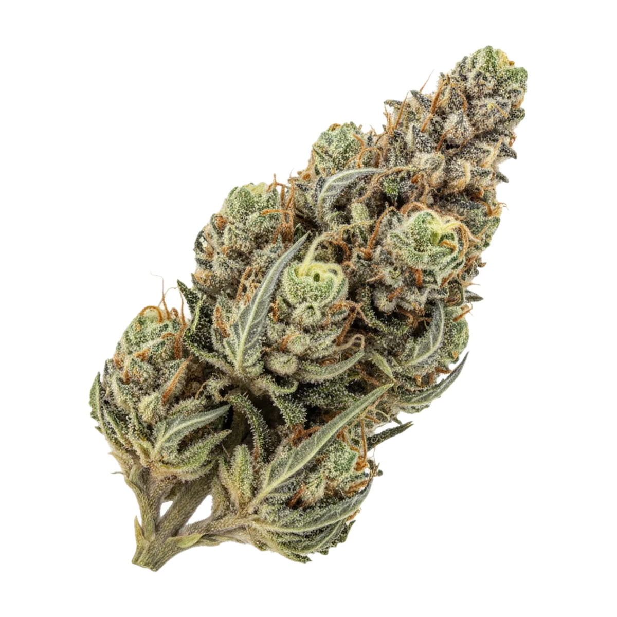 KI-generierte Illustration einer Cannabisblüte, zeigt nicht die tatsächliche Charge – Huala ALM "Alien Mints"