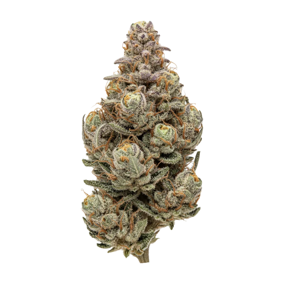 KI-generierte Illustration einer Cannabisblüte, zeigt nicht die tatsächliche Charge – Huala 30/1 DBC "Durban Cherry"