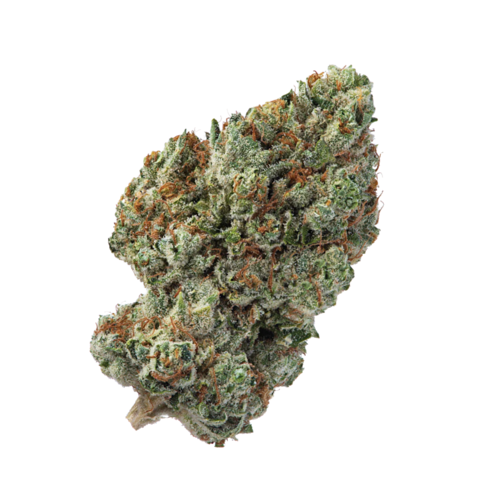 Cannabisblüte – avaay "Khalifa Kush"