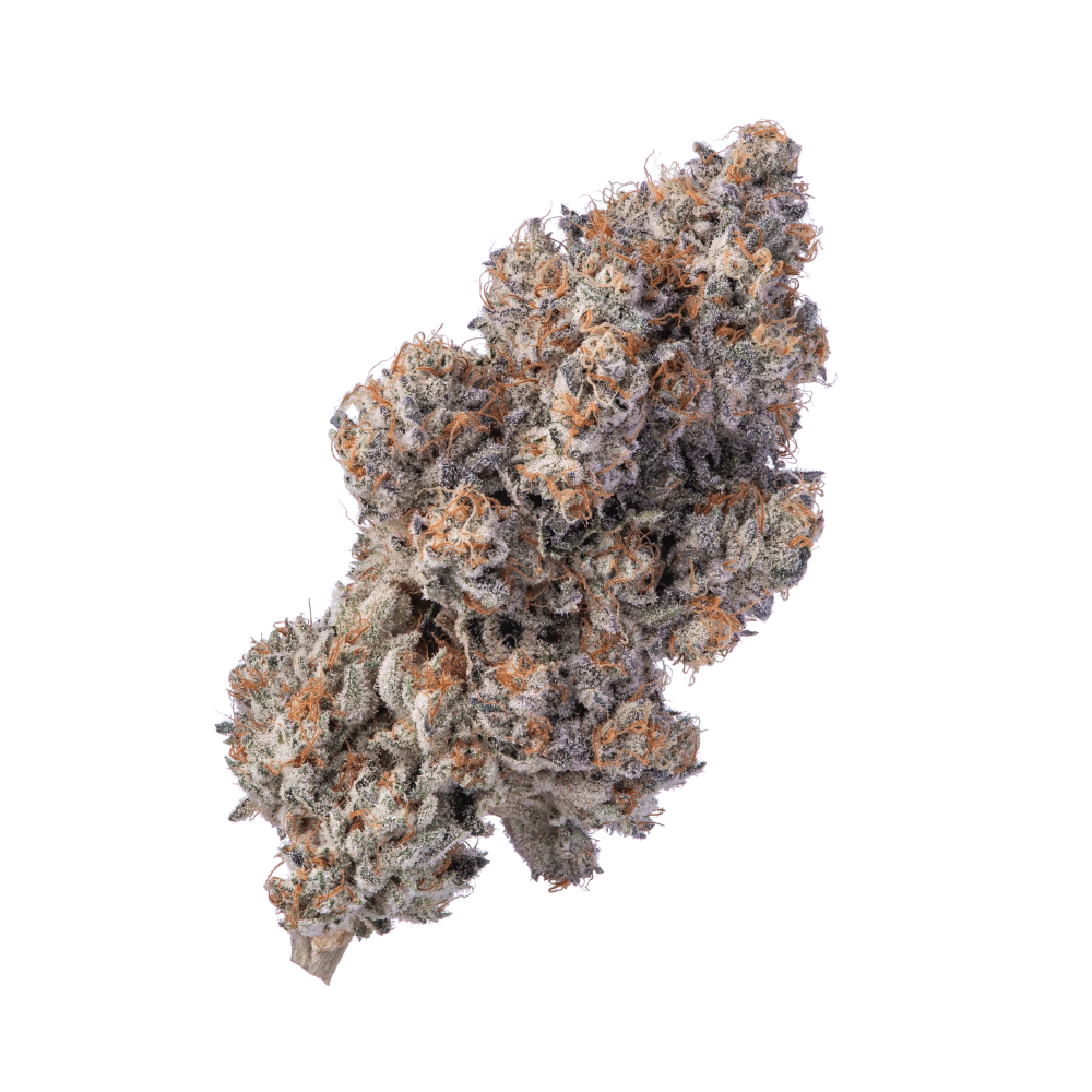 Aleph Ruby 24/1 "Kosher Tangie"