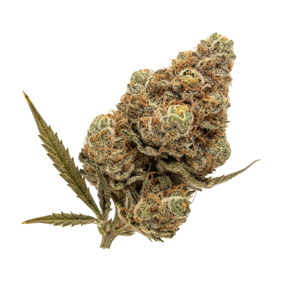 KI-generierte Illustration einer Cannabisblüte, zeigt nicht die tatsächliche Charge – Legend's GZ 32/1 "Garlic Zkittlez"
