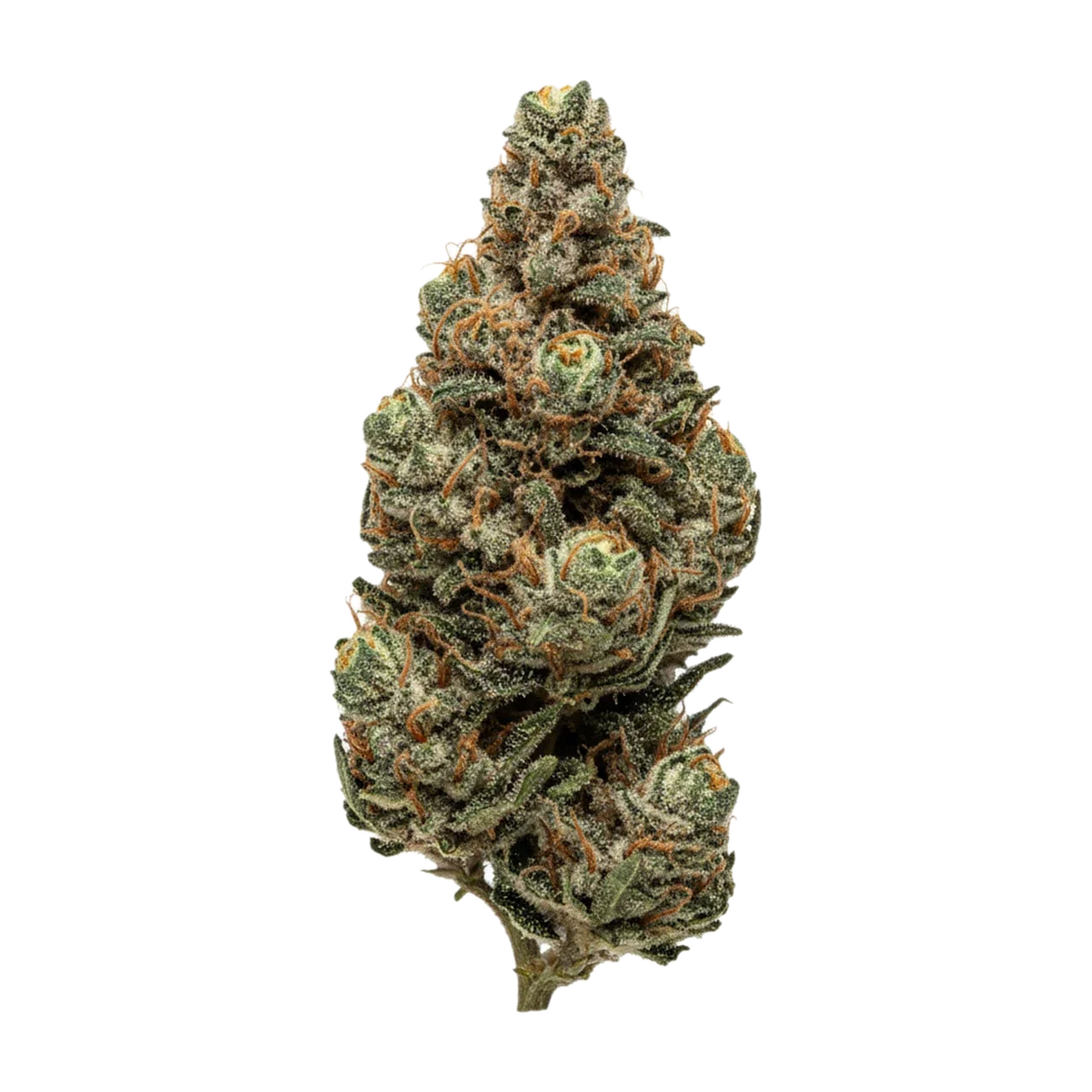 KI-generierte Illustration einer Cannabisblüte, zeigt nicht die tatsächliche Charge – Legend's RP 34/1 "Rainbow Pavé"