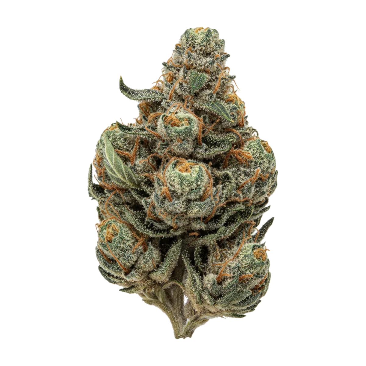 KI-generierte Illustration einer Cannabisblüte, zeigt nicht die tatsächliche Charge – Luana 16/1 White "White Herer"