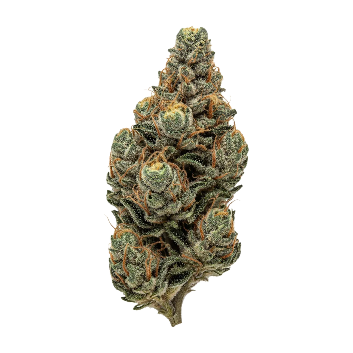 KI-generierte Illustration einer Cannabisblüte, zeigt nicht die tatsächliche Charge – Luana 18/1 Varin "Doug's Varin"