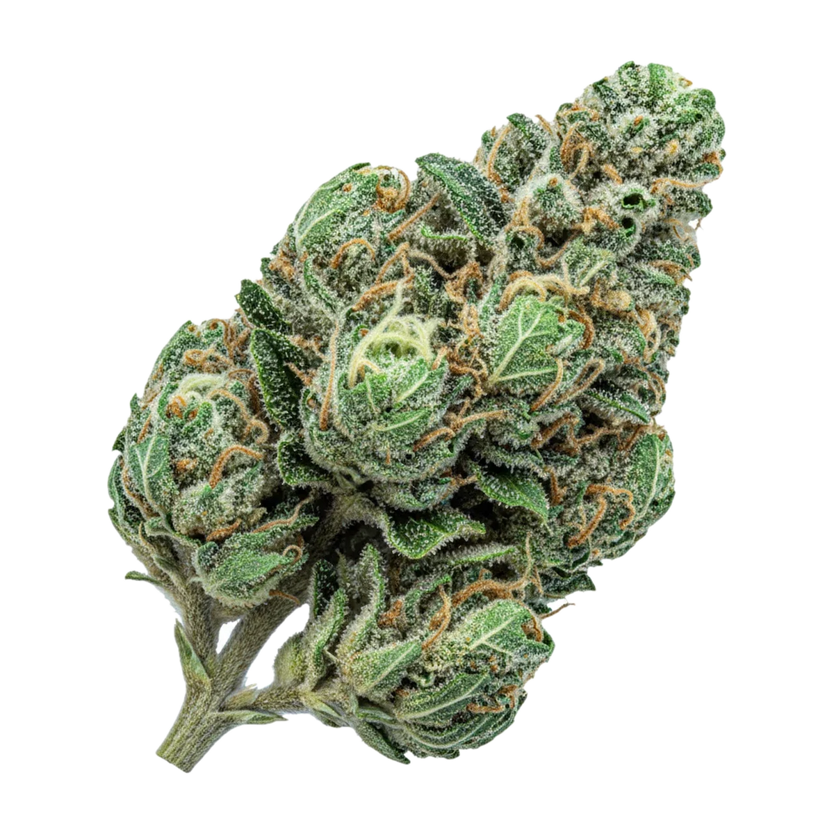 KI-generierte Illustration einer Cannabisblüte, zeigt nicht die tatsächliche Charge – Luana 20/1 "Watermelon OG"