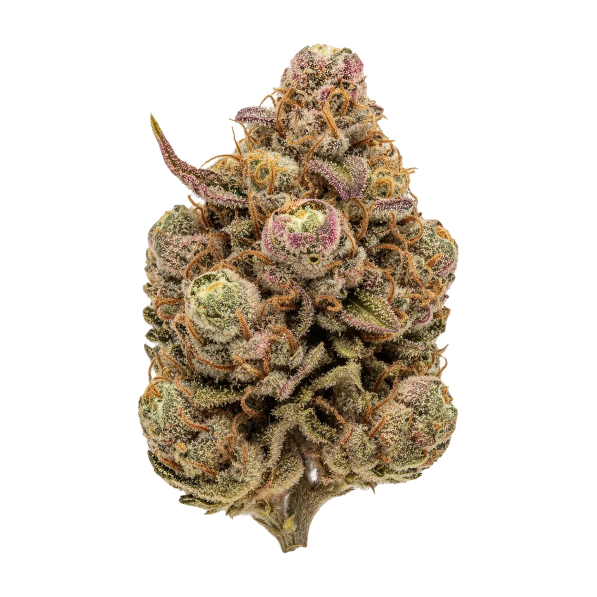 KI-generierte Illustration einer Cannabisblüte, zeigt nicht die tatsächliche Charge – Luana Kush "Hippie Kush"