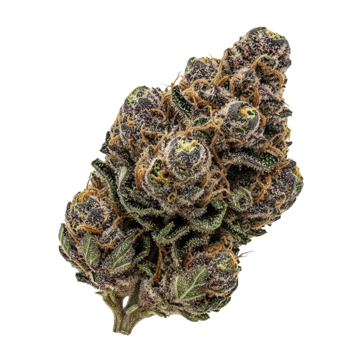 KI-generierte Illustration einer Cannabisblüte, zeigt nicht die tatsächliche Charge – Siggis Feature No. 1 22/1 "Maple Sour"