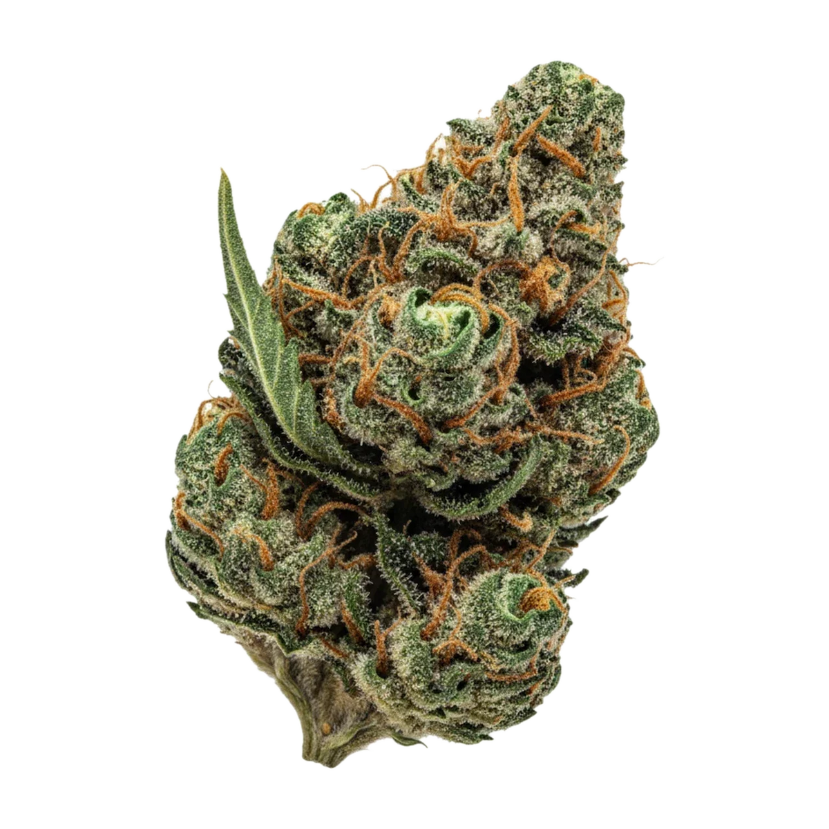 KI-generierte Illustration einer Cannabisblüte, zeigt nicht die tatsächliche Charge – Luana 24/1 Rainbow "Papaya Bomb"