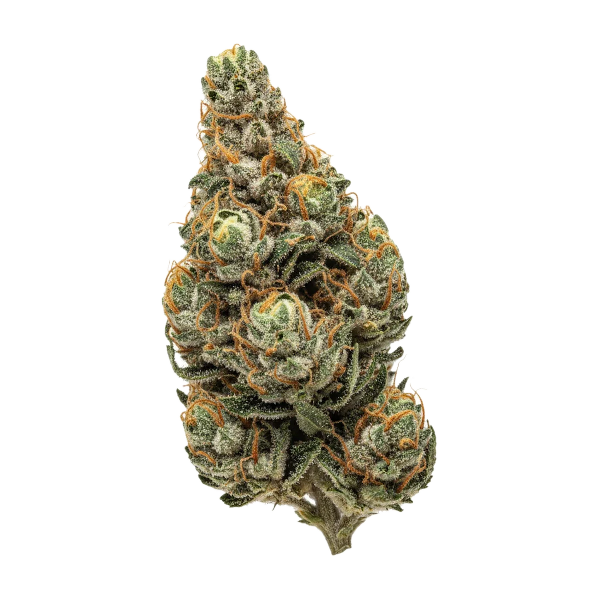 KI-generierte Illustration einer Cannabisblüte, zeigt nicht die tatsächliche Charge – Luana 28/1 "Durban Poison"