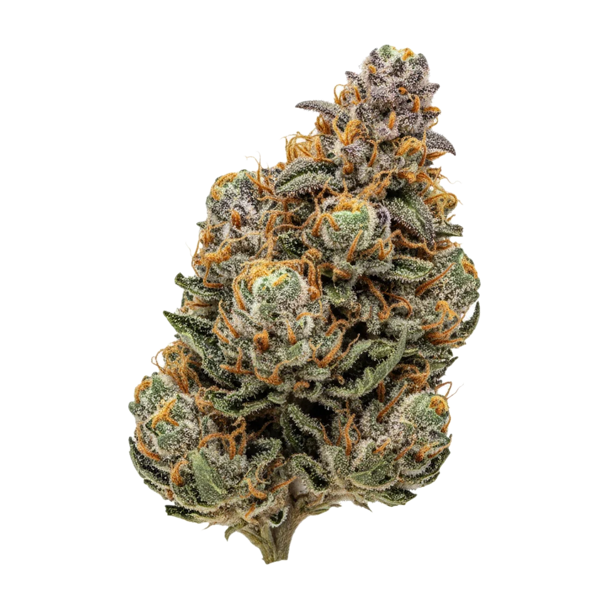 KI-generierte Illustration einer Cannabisblüte, zeigt nicht die tatsächliche Charge – Luana 28/1 GCG "God Cherry Gusher"