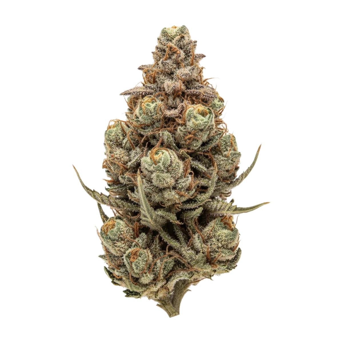 KI-generierte Illustration einer Cannabisblüte, zeigt nicht die tatsächliche Charge – DEMECAN PS MIDI 25/1 "Midnight Diner"