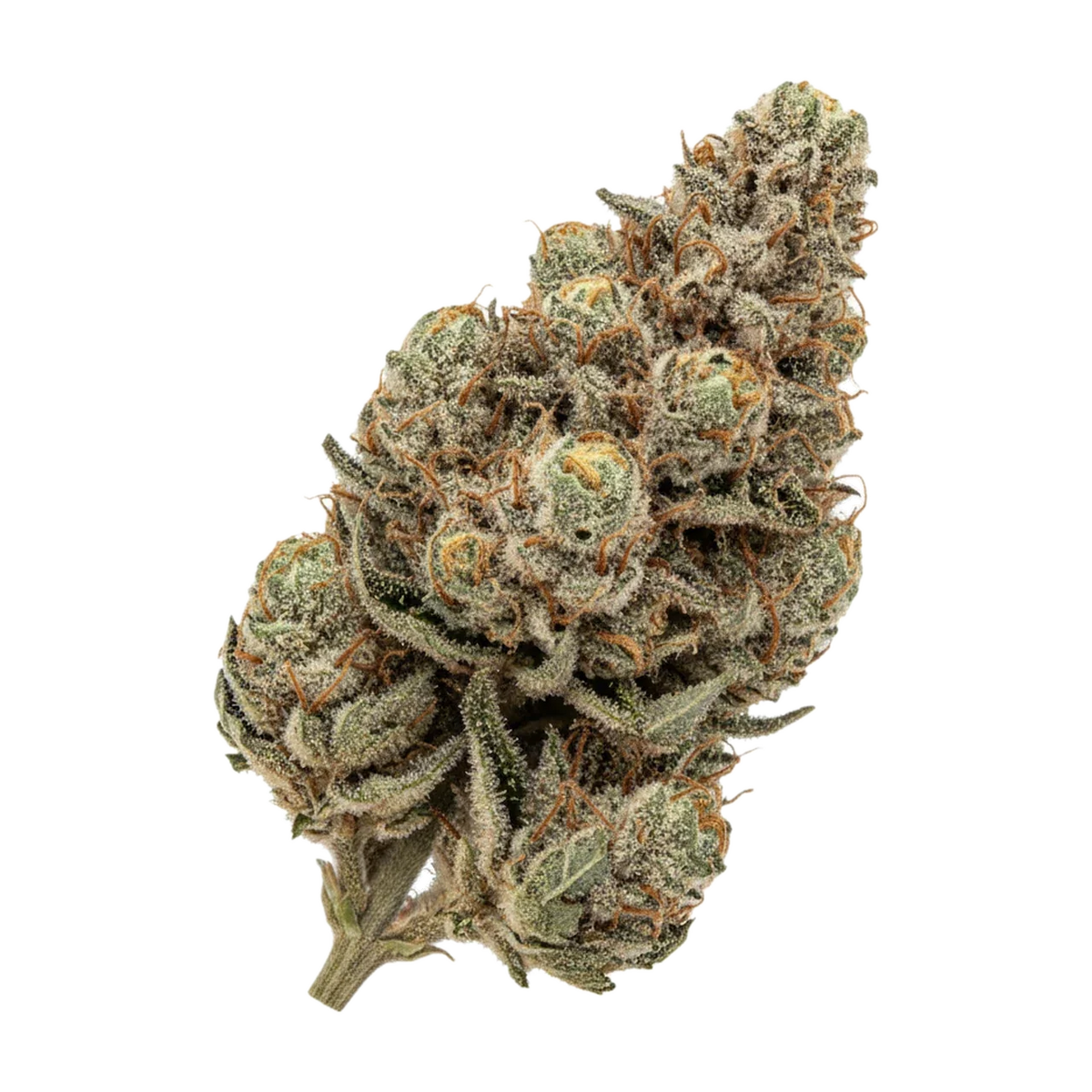KI-generierte Illustration einer Cannabisblüte, zeigt nicht die tatsächliche Charge – Origine Nature CHEM "Chem Dawg OG"