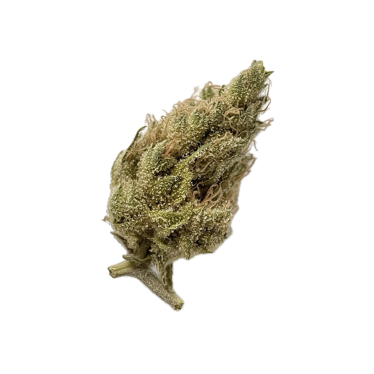 Peace Naturals 29/1 SC "Space Cake"