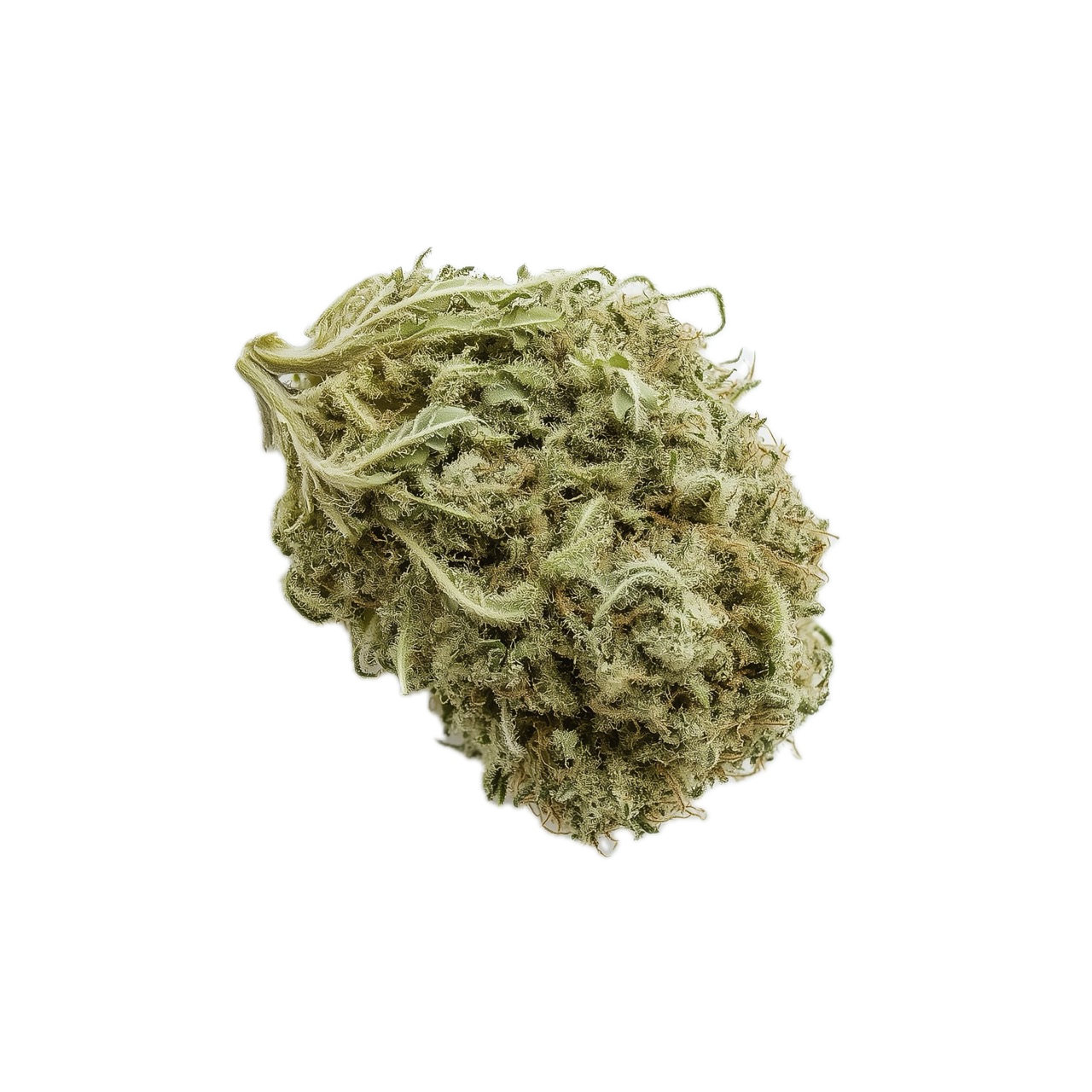 420 Evolution 25/1 WES "Wedding Singer"