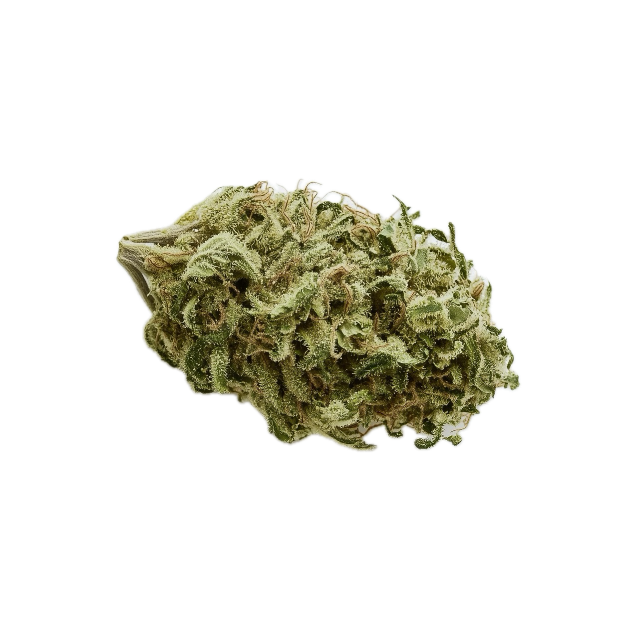 Cannamedical Sativa classic SA  20/1 "Jack Herrer"