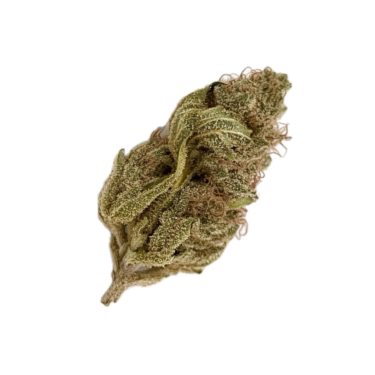 Cannamedical Indica Forte MA 24/1 "Crazy Rntz"